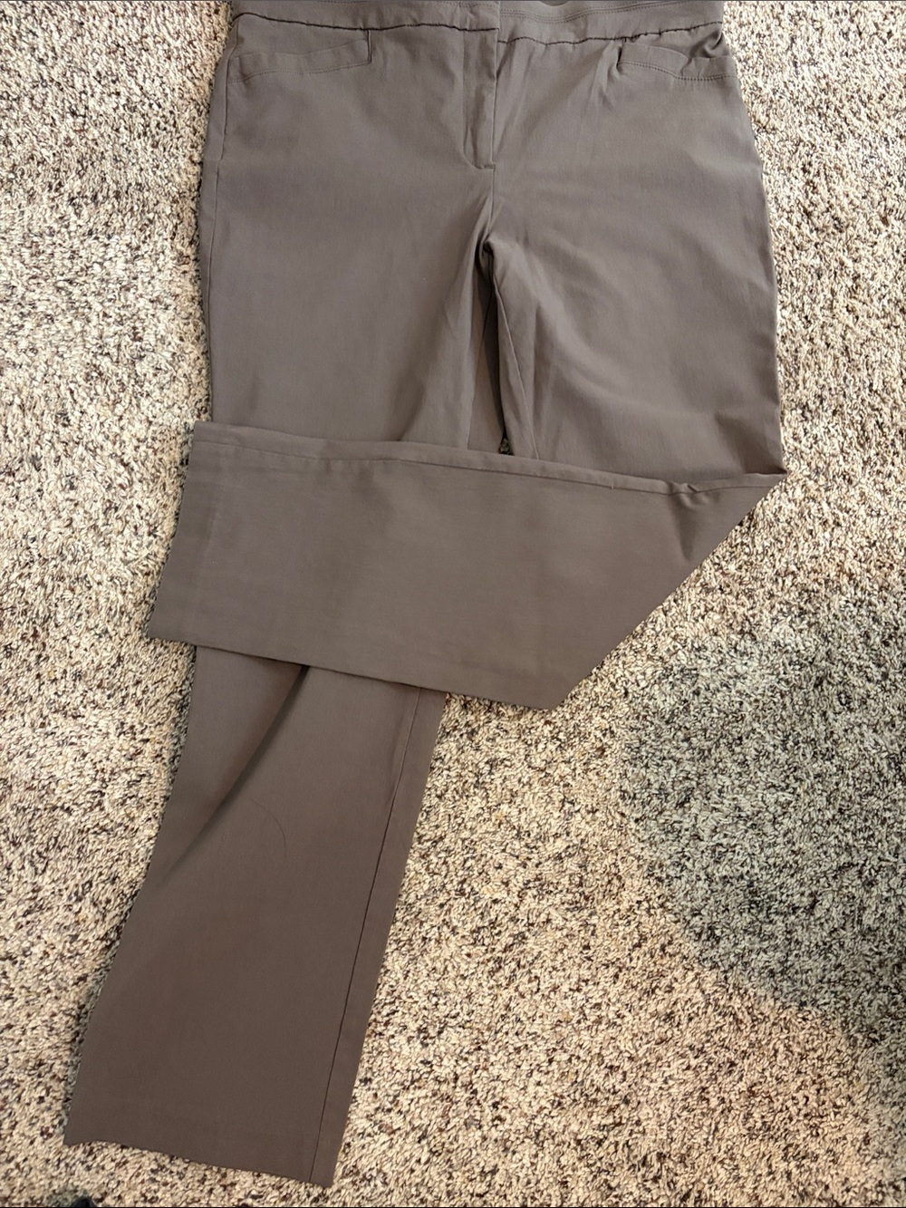 Straight Leg Women's Pants in Taupe